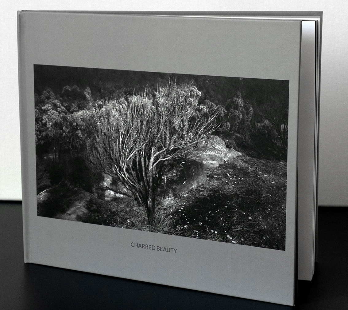 Zaklina Anderson Charred Beauty Book 07 Copy