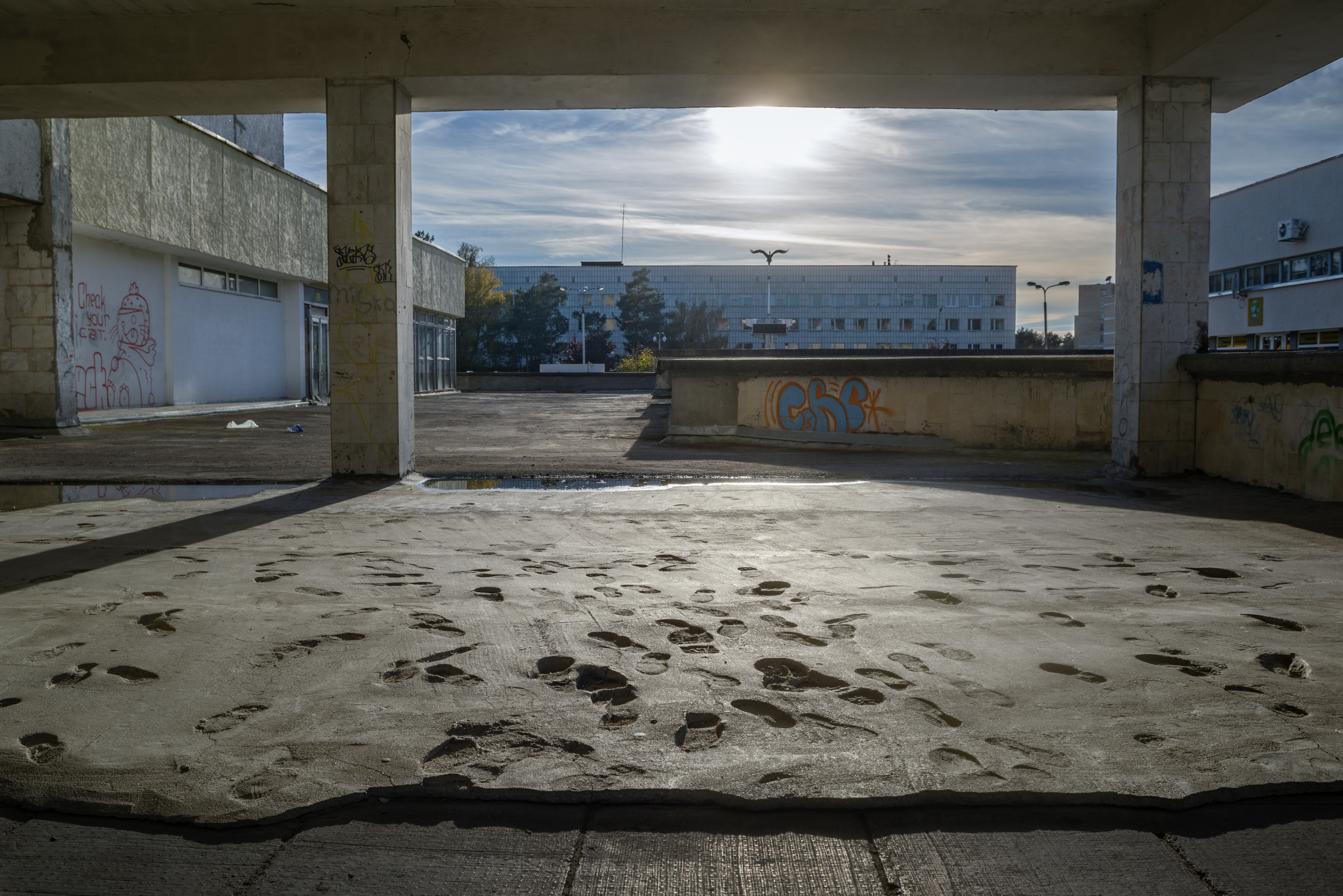 Pprashant Radioactive Butterfly 3