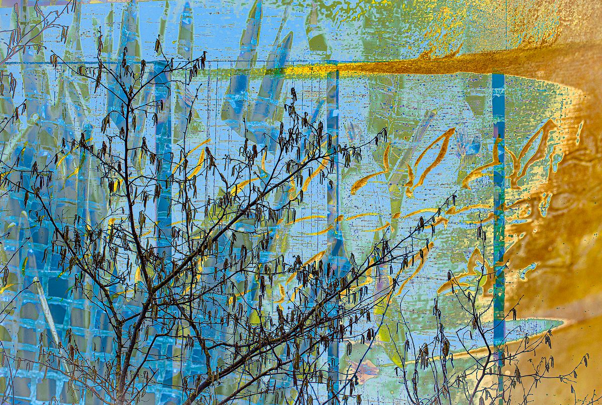 David Townshend 368459