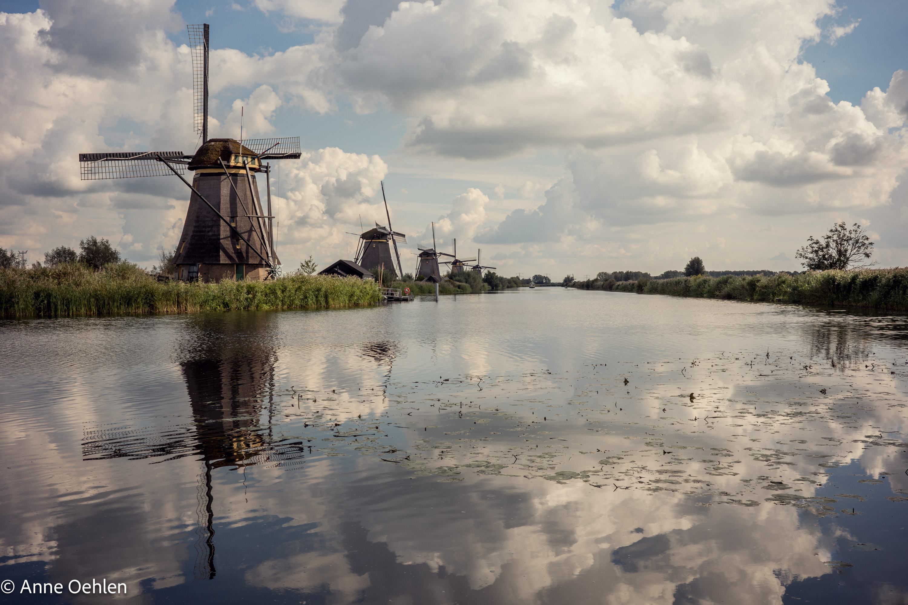Kinderdijk 2025 09 30 008463
