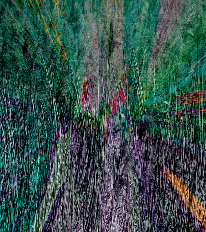 2605 Tim Walton The Reedbed For Web