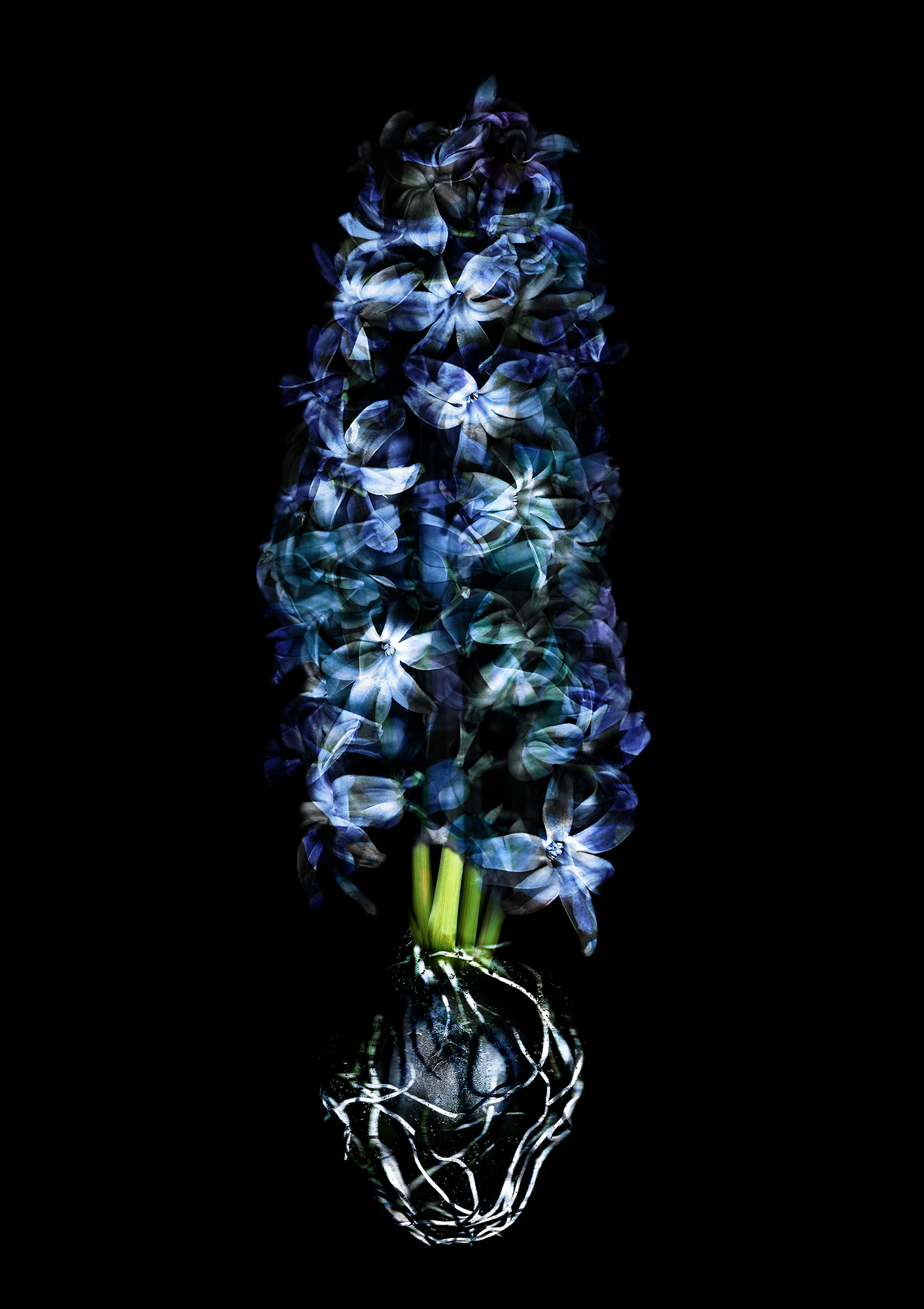 Hyacinth Anne Mason Hoerter
