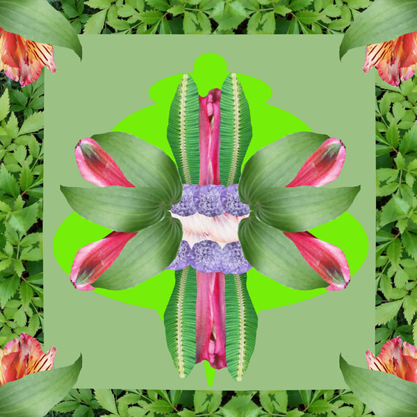 Jacob, Ringwood School