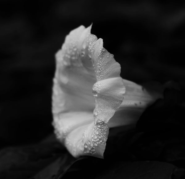 Hannah, Upper Shirley High School