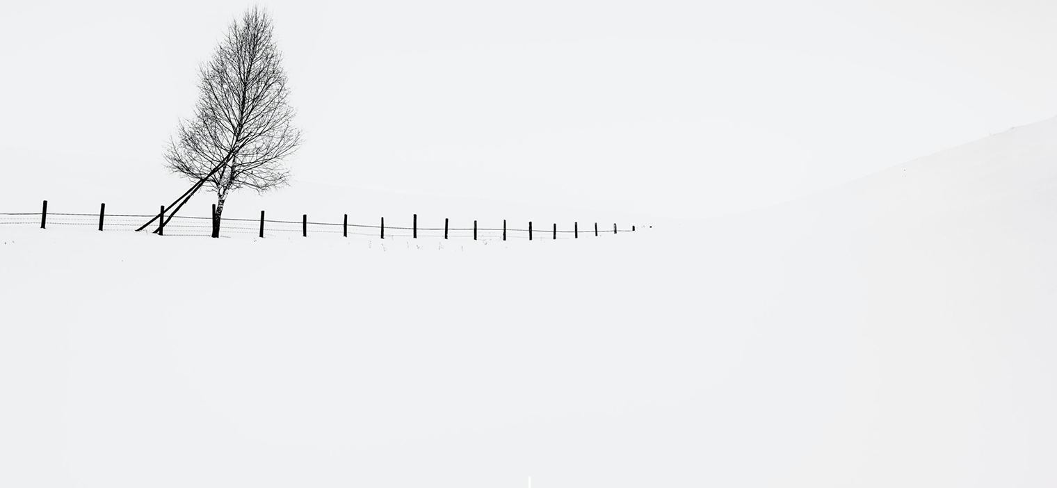 Paul Sanders Landscape