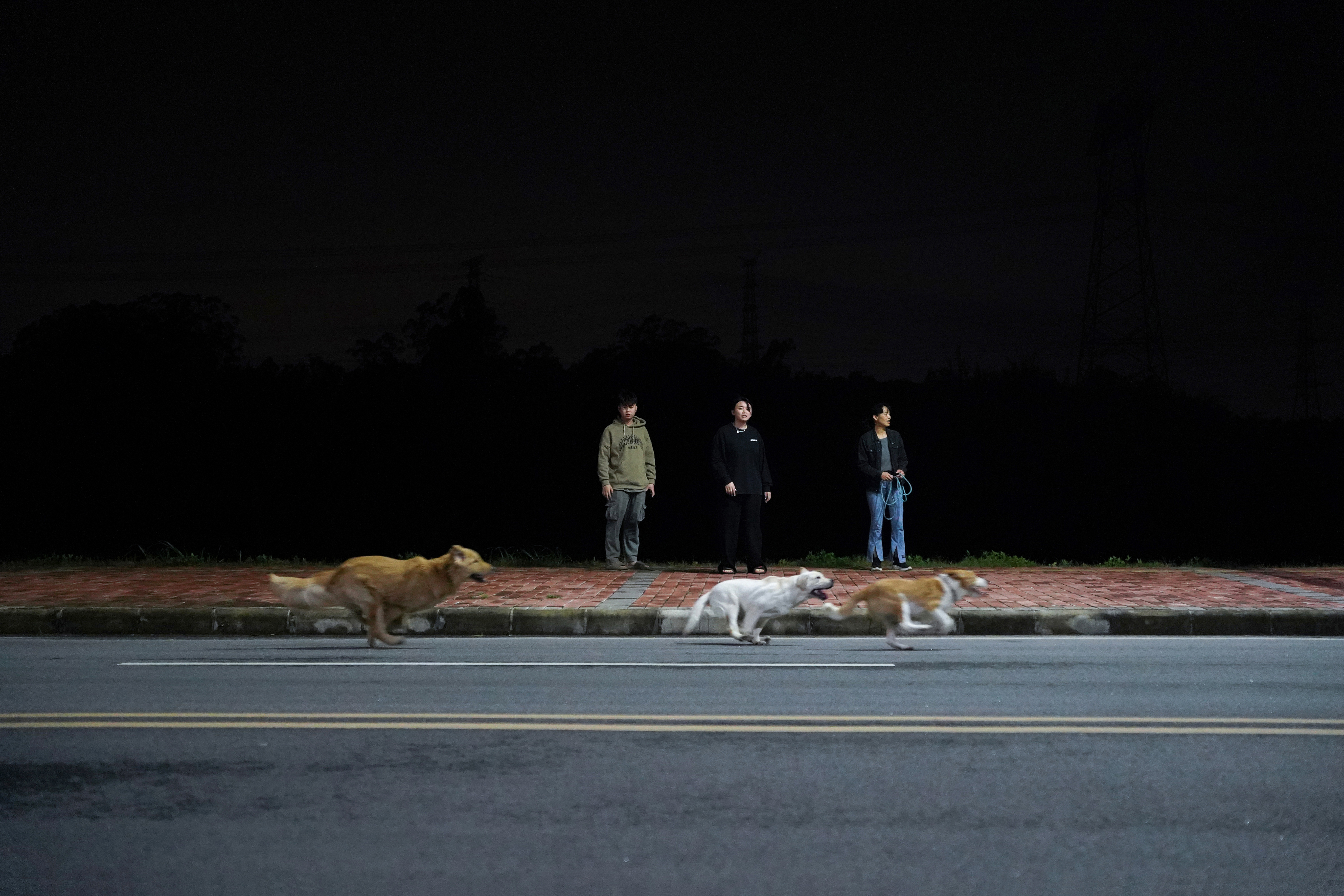 11955 20987 19 1690790884