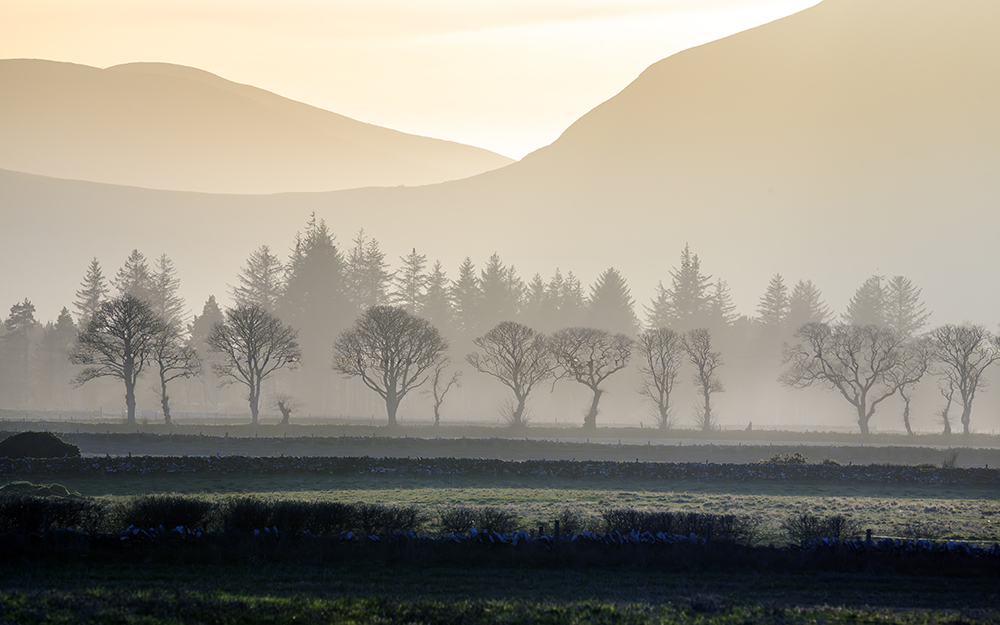 Evening Layers Martin Ross