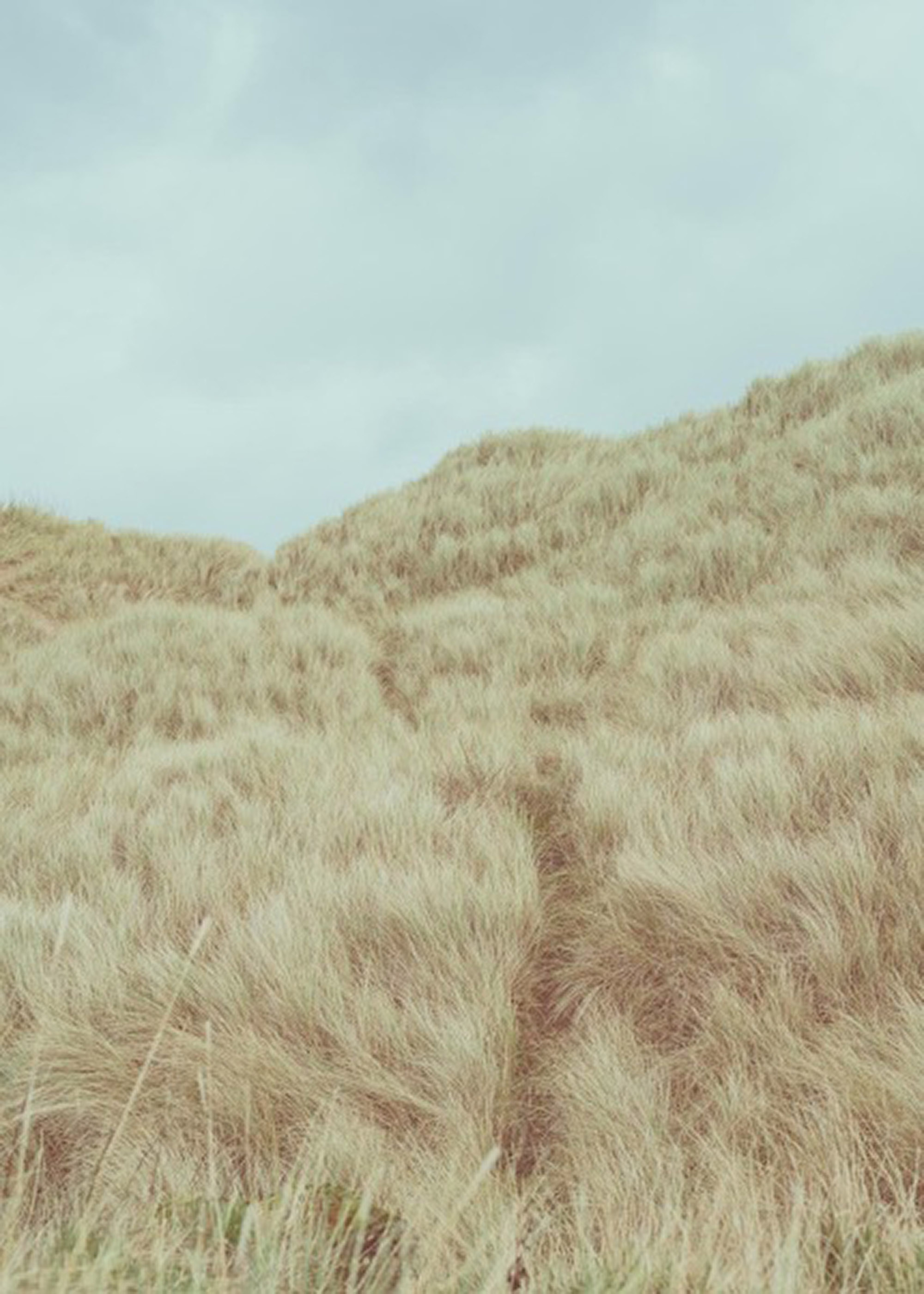 'Lunan Bay, 2023' By John Post