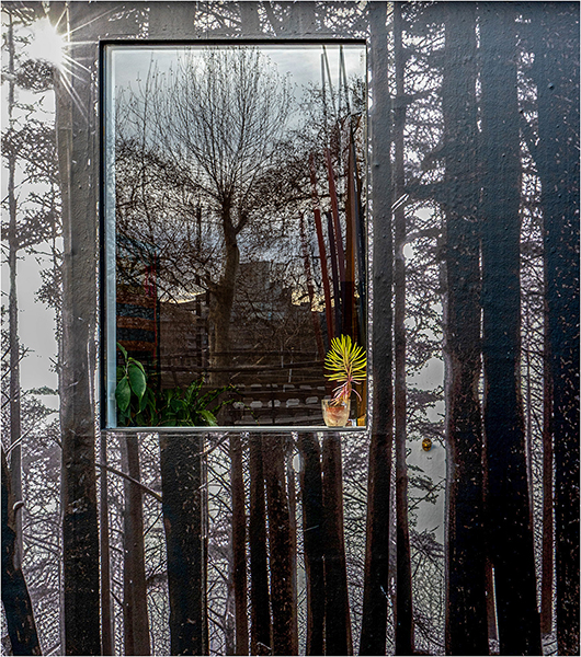 2604 Carol Walker Window On The World For Web