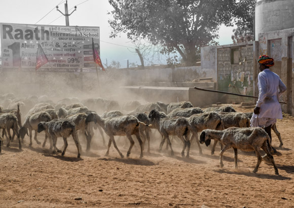 The Drive For Education