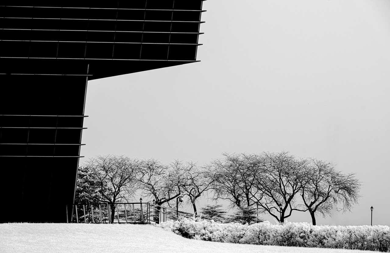 'The Overhang' By Candia Peterson ARPS