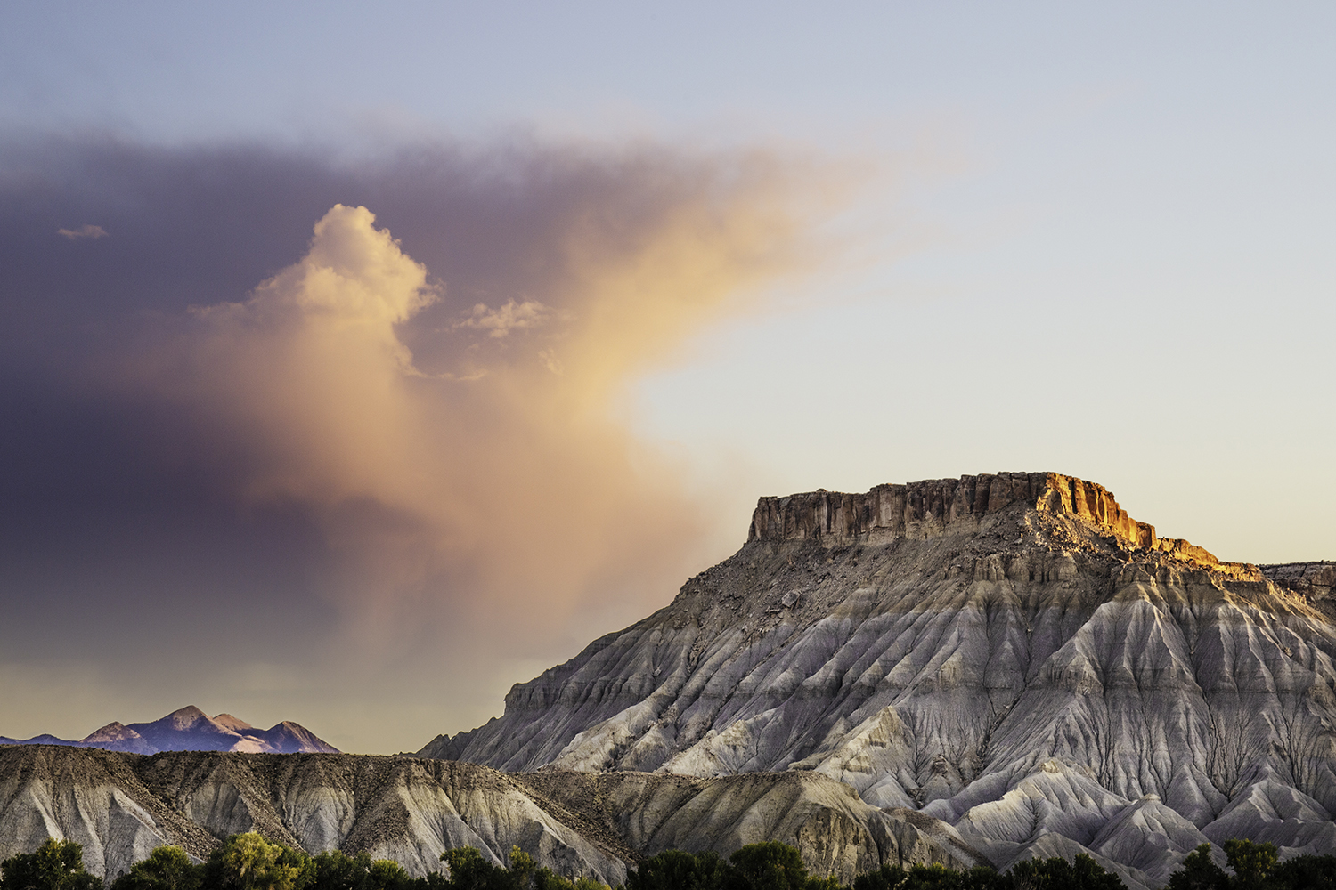 What ever the weather