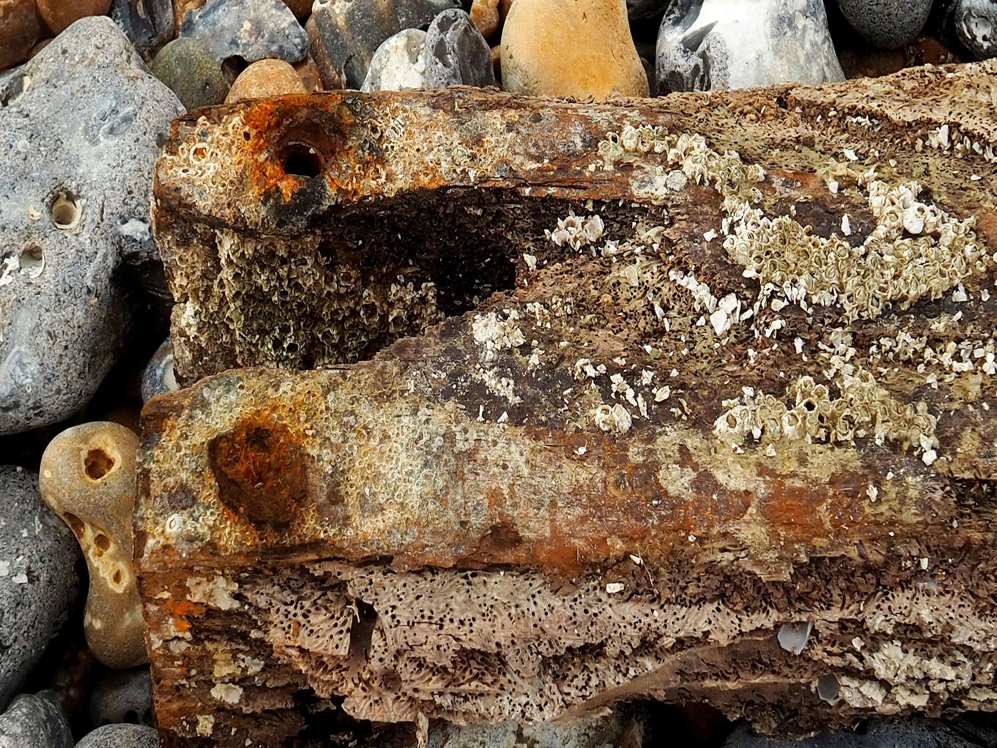 5562633 Edith Templeton Groyne Lying