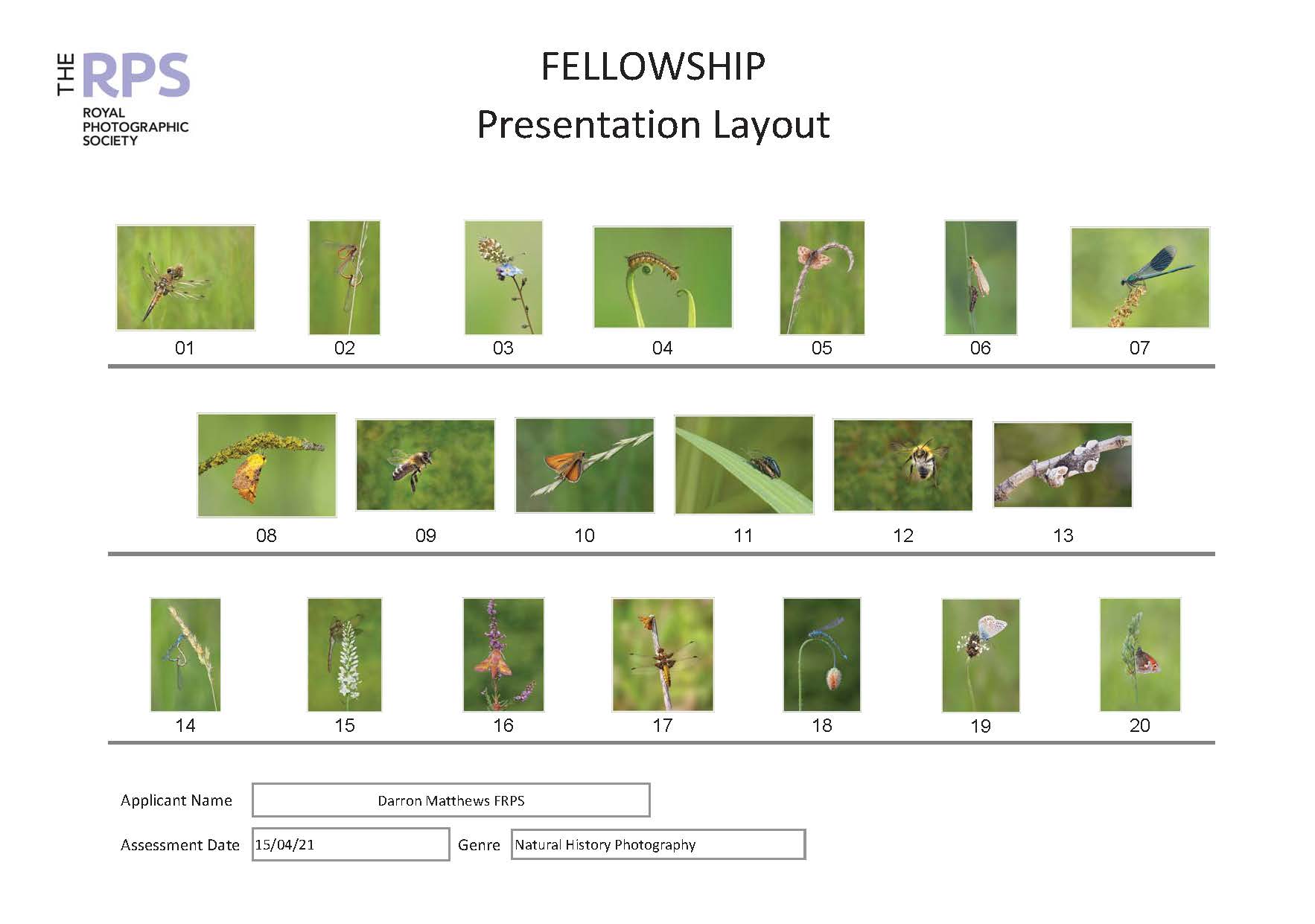 D. Matthews Presentation Layout