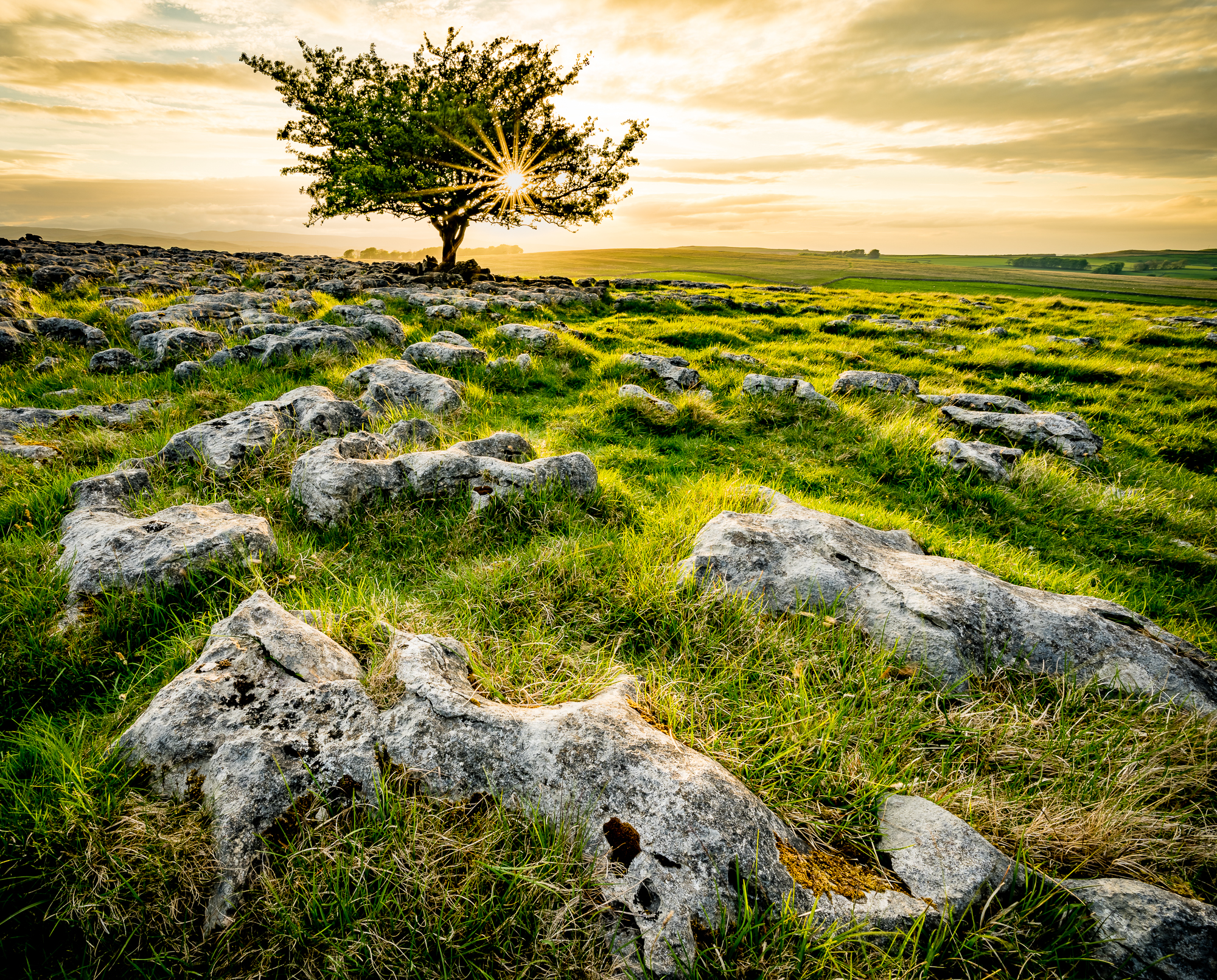 3360720 Mark Hetherington Eden Valley Lone Tree Sunset