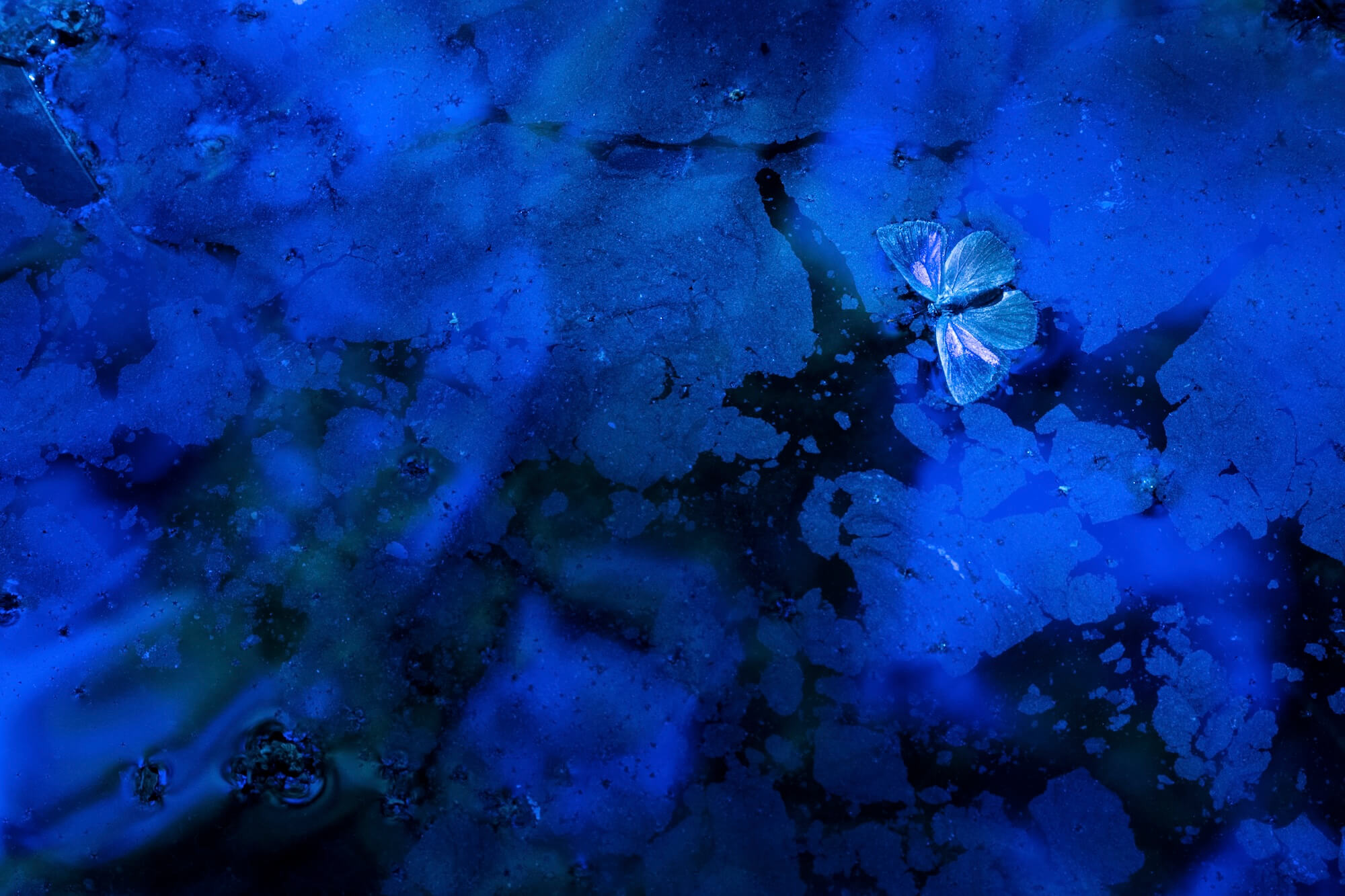 'Blue' By Andres Luis Domínguez Blanco