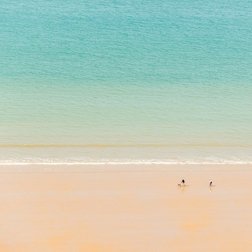 Walking The Dog By Tim Hodges