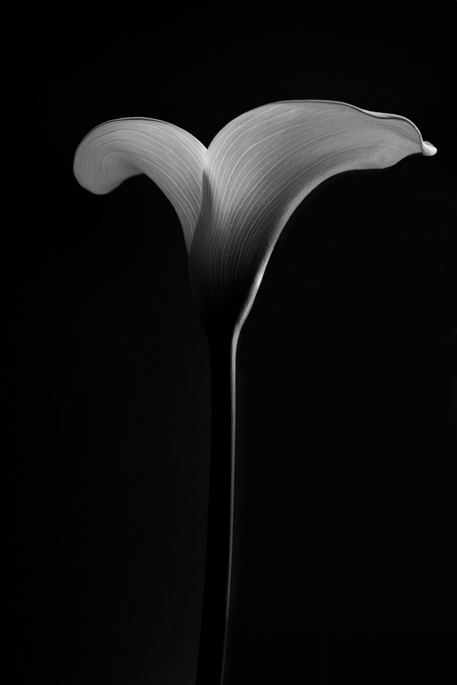 Magisterial B Eastmond