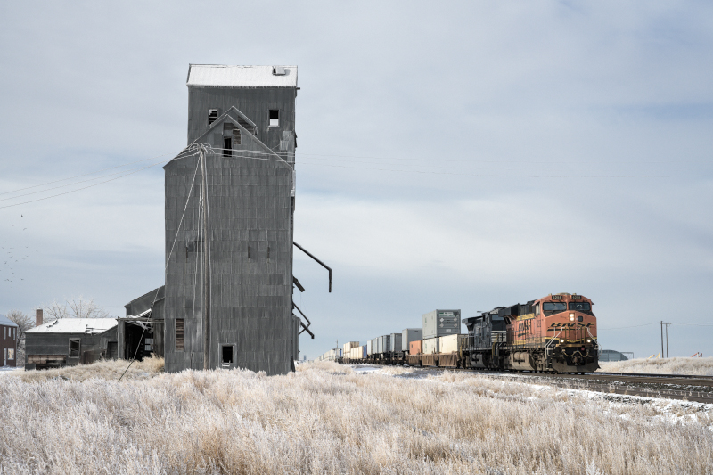 2601 Jan Harris When The Train Came Through For Web