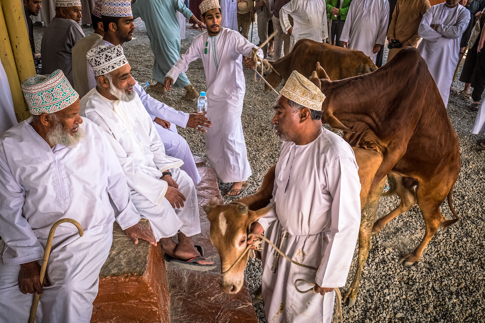 REDAAA Business Negotiations Nizwa, Oman