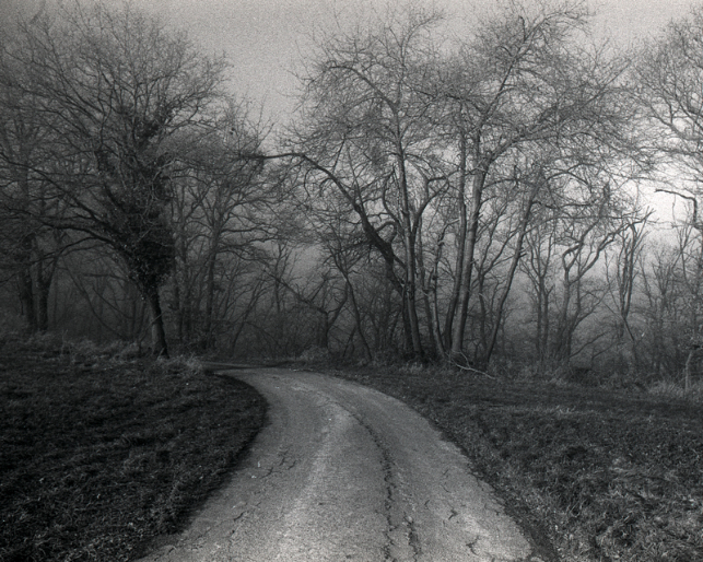 5502247 Christina Osborne Misty Day