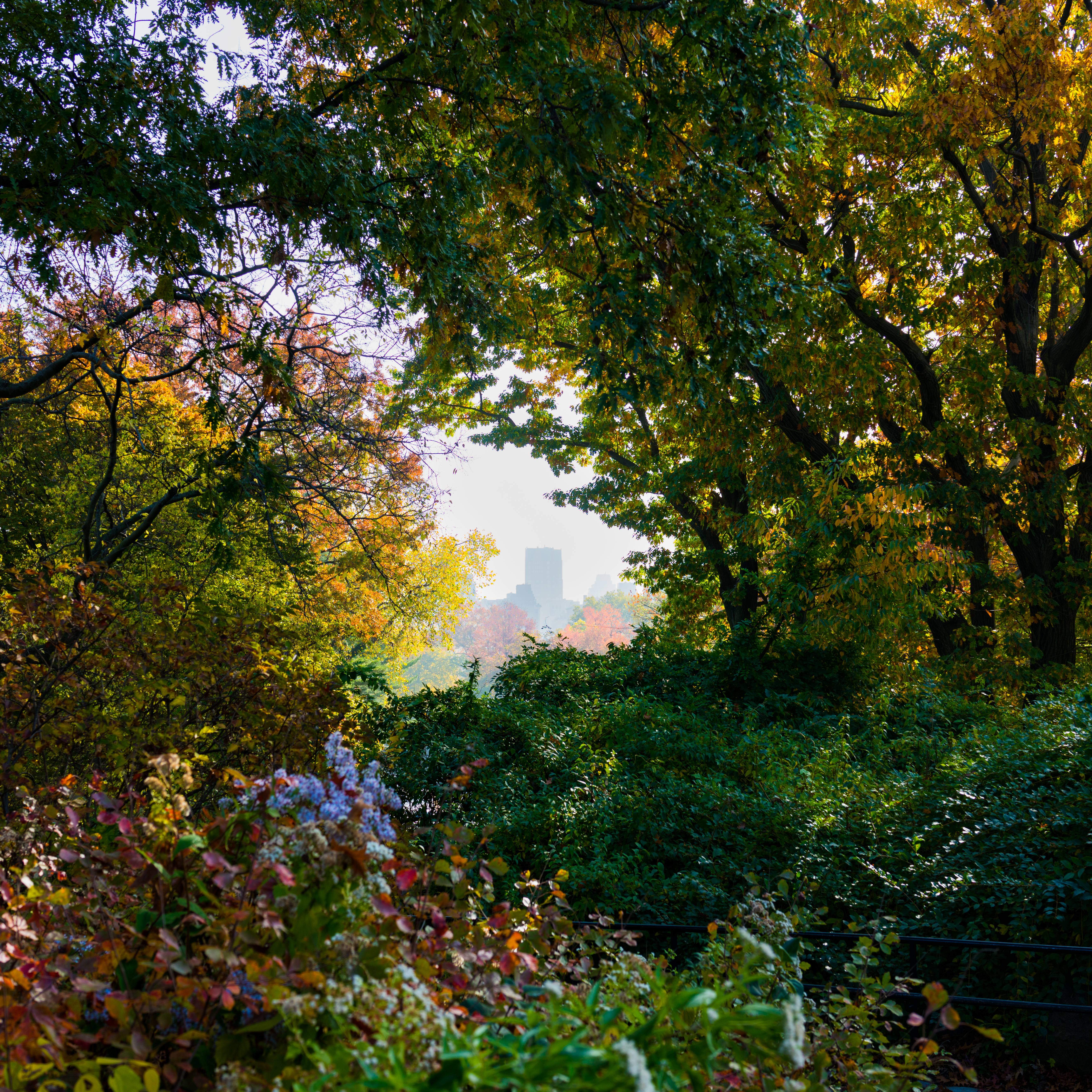 5540682 Trish Crawford Urban View