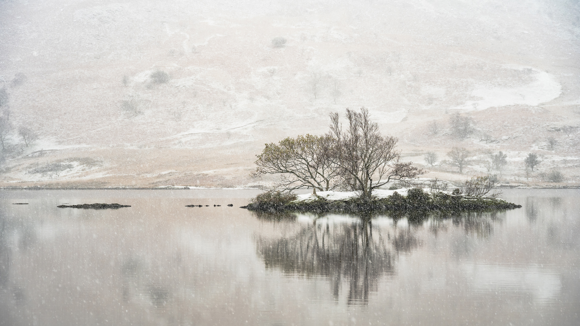 Snowy Island