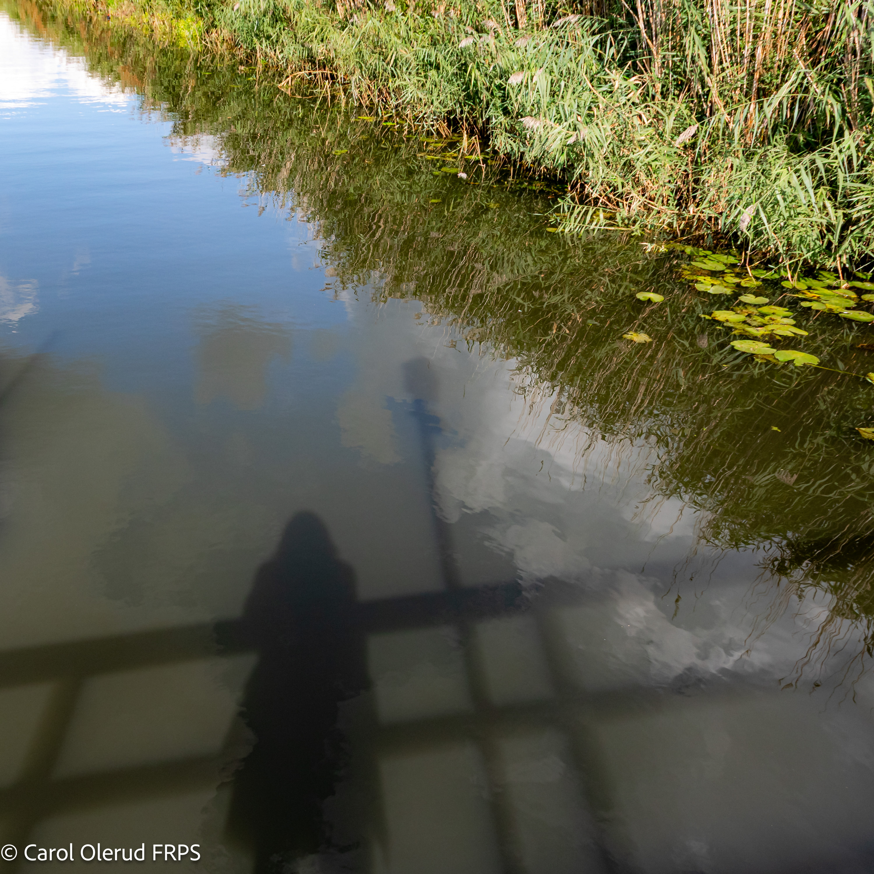 TWT Inland Waters © Carol Olerud FRPS 04