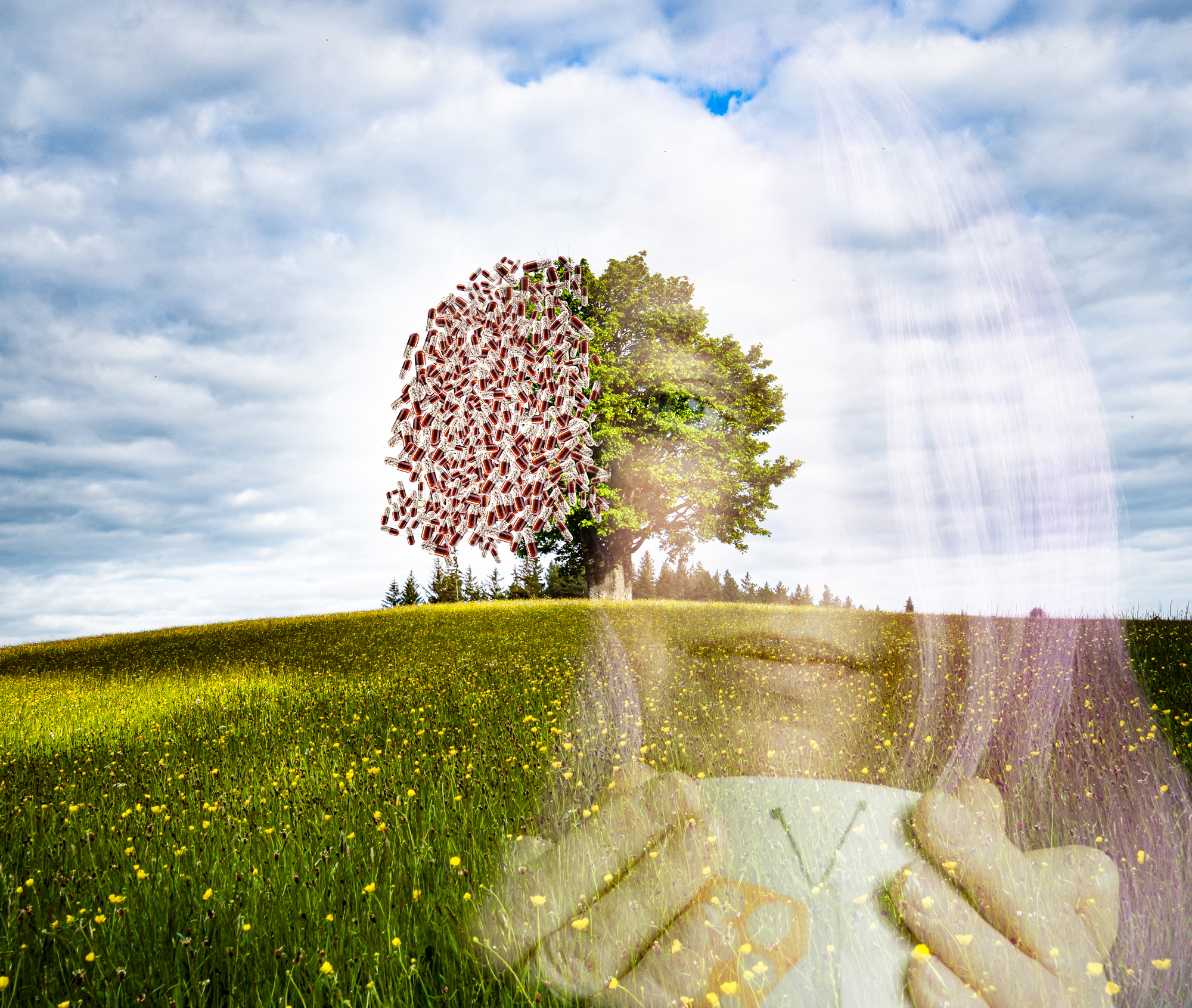 6711189 Louise Knaresborough Mind Body And Soul