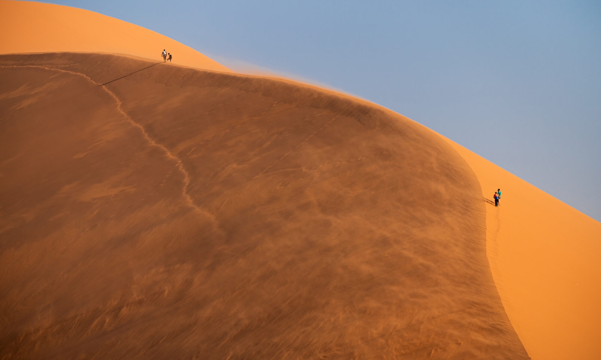 Windswept Mark Sims ARPS