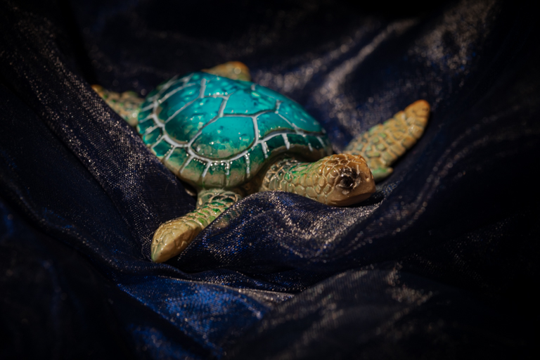 Carololerudfrps Card MACRO 1