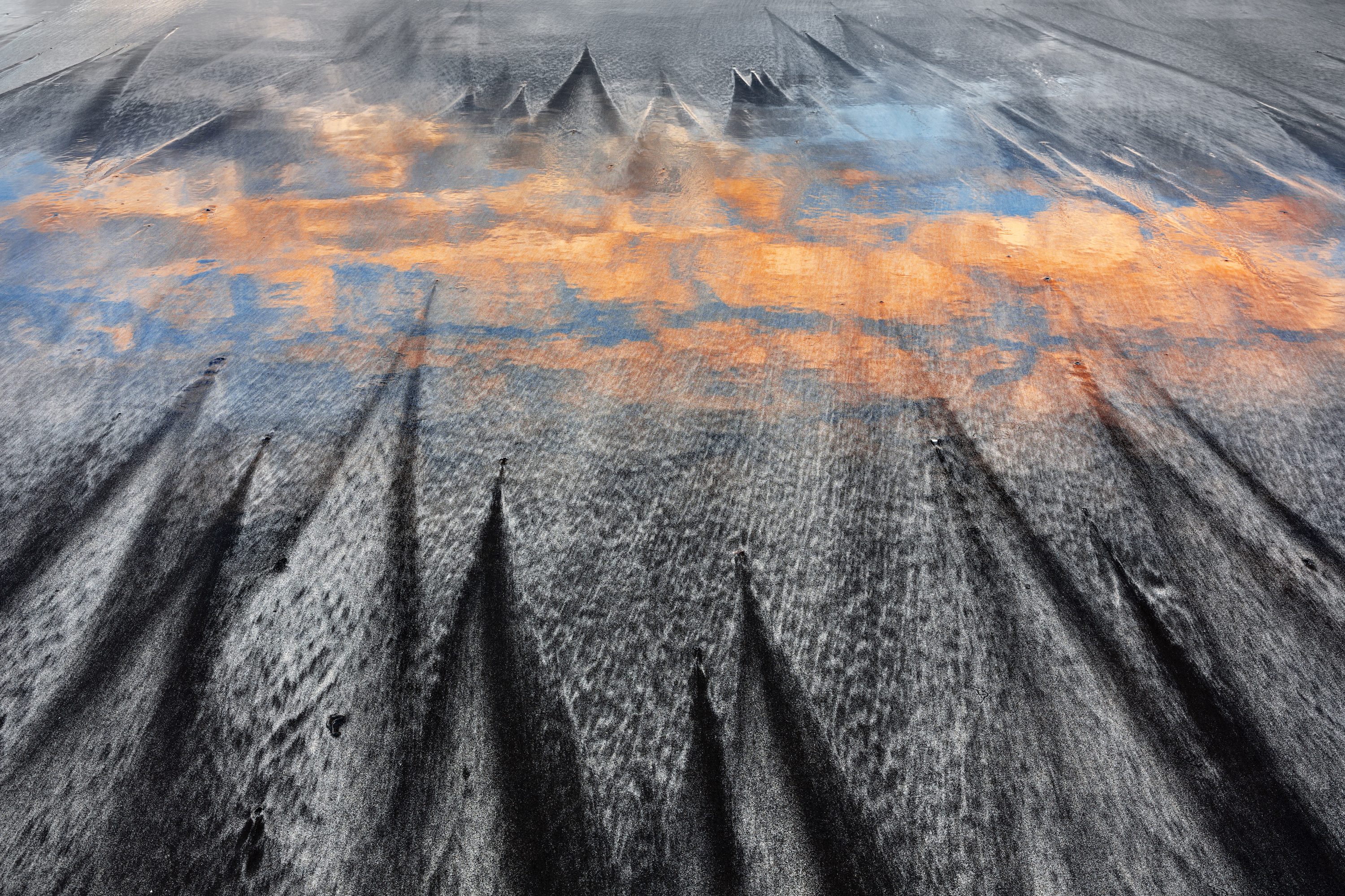 5 TPOTY 2021 Win5 Fgatto