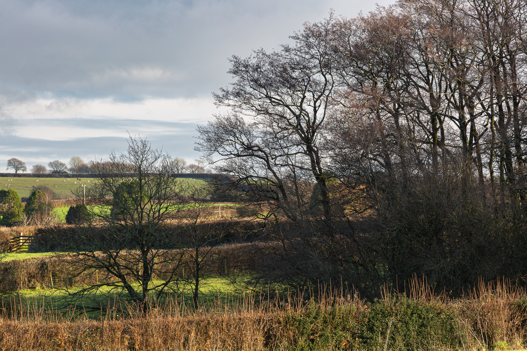 51N 04W, Devon By Ian Robson