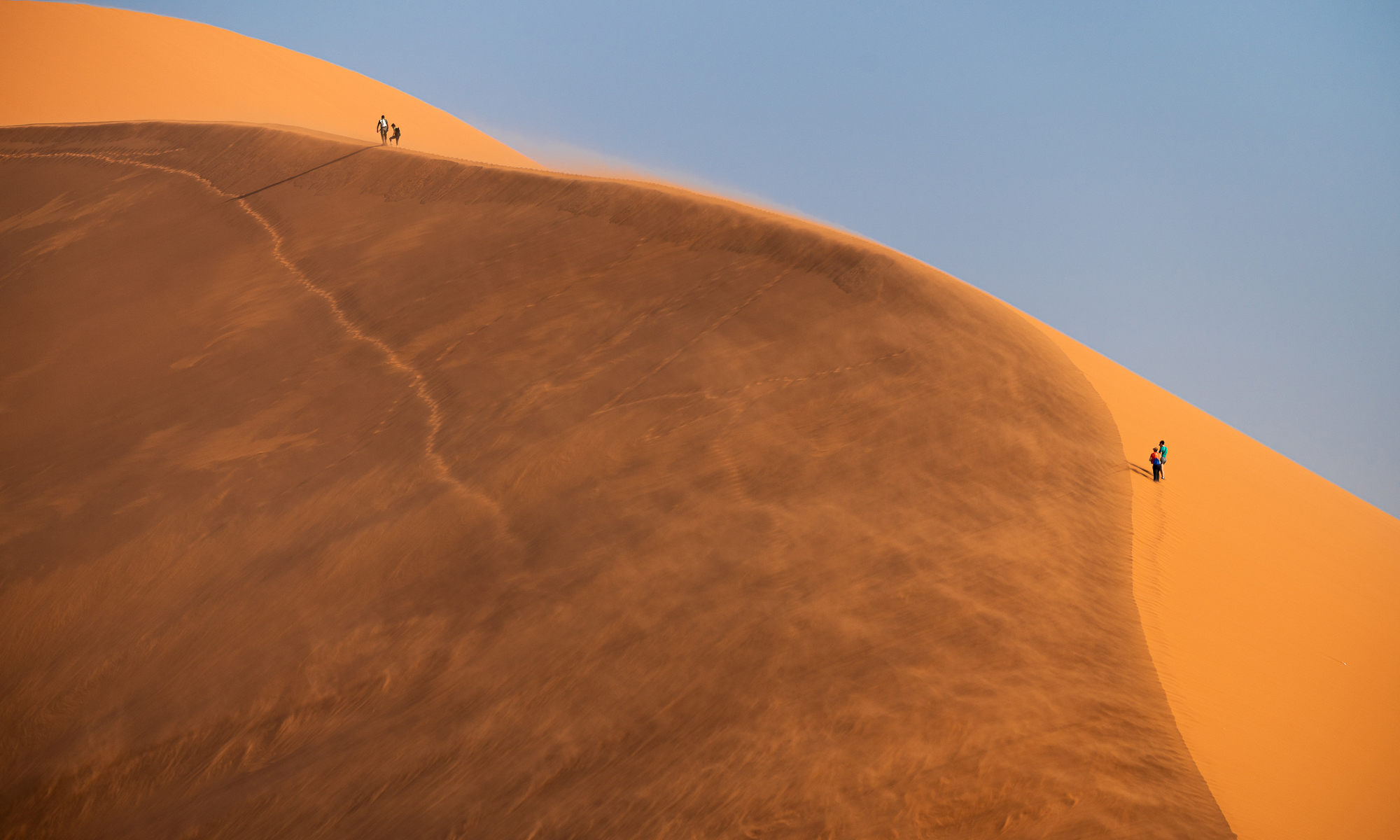 Windswept Mark Sims ARPS