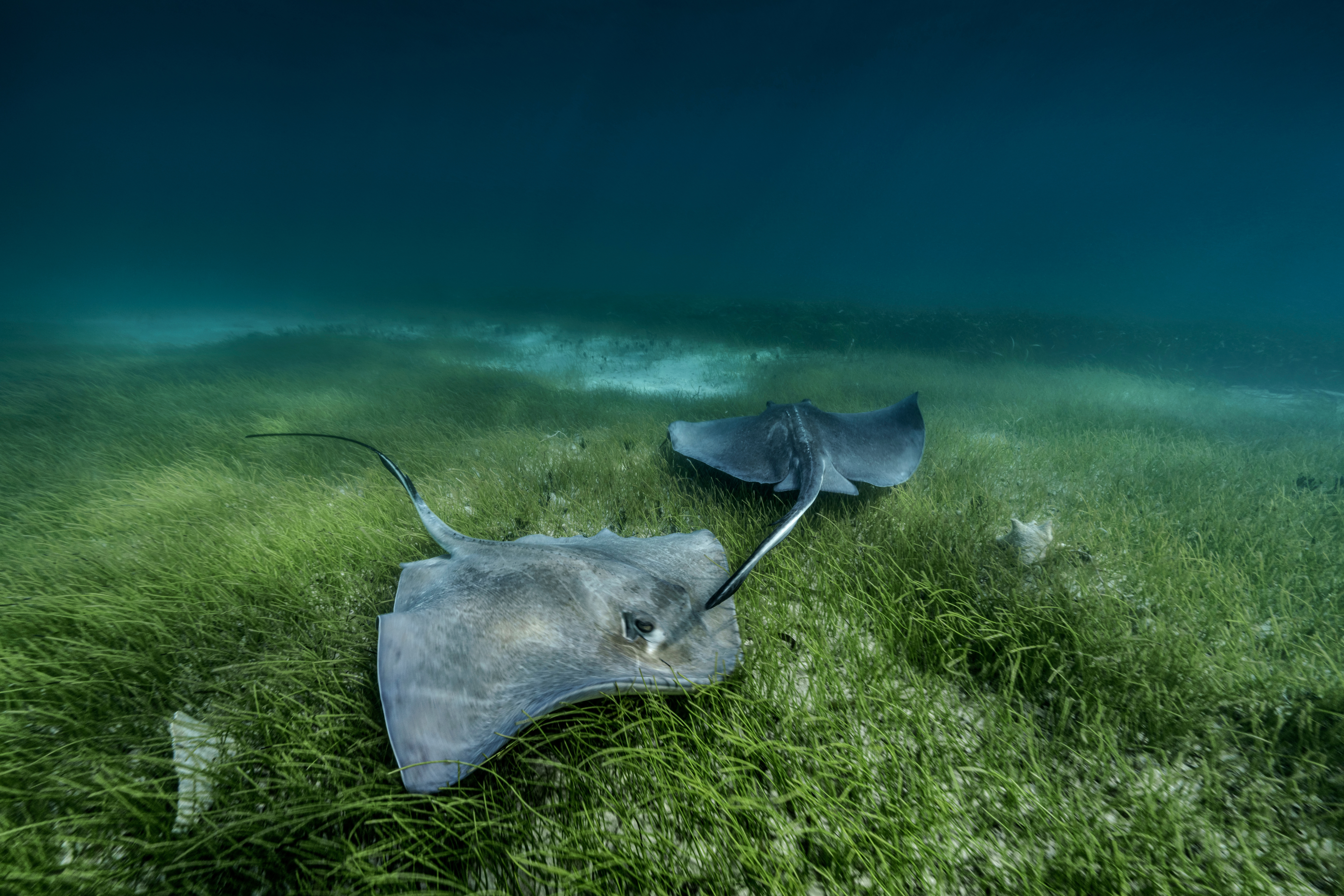 Cristinamittermeier Bahamas 2021 19251