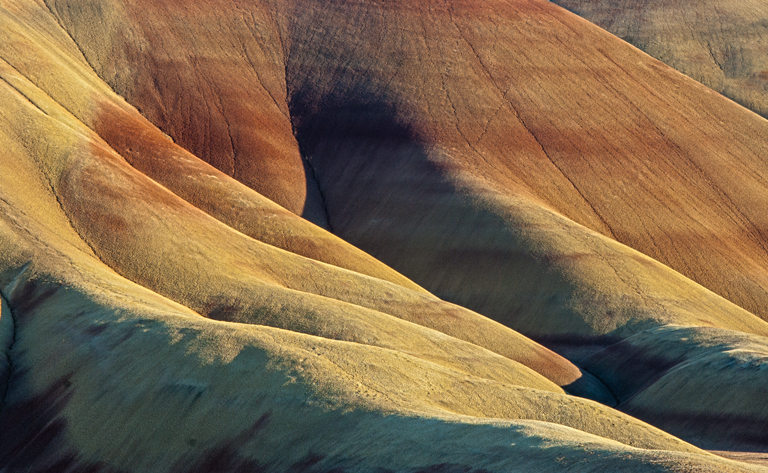 Suegoldberg Card LRPS 08