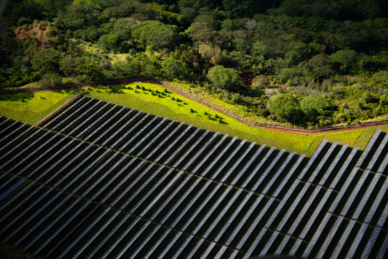 5522936 Aya Okawa Solar Garden