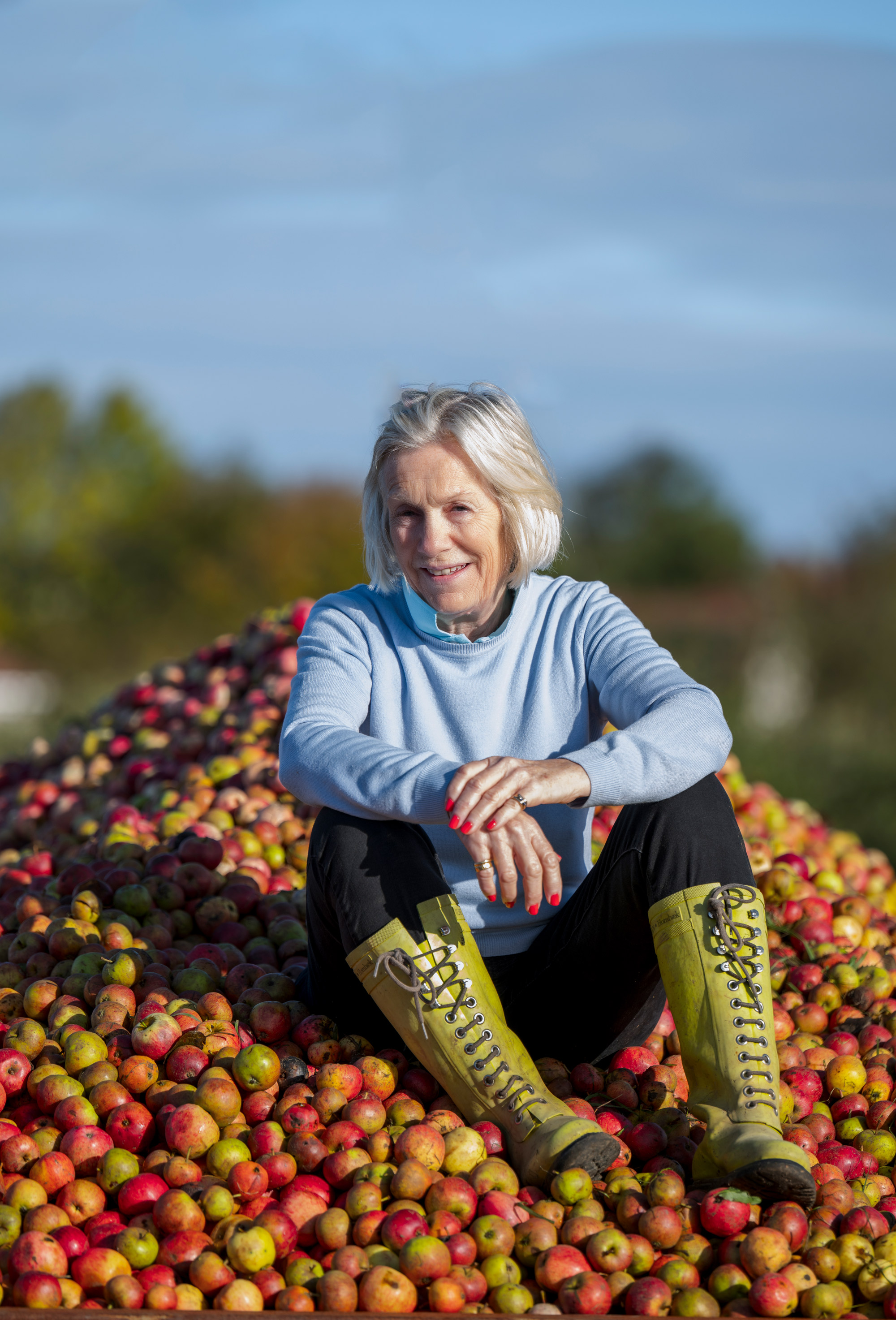 Tessa Munt MP By Lucy Arscott