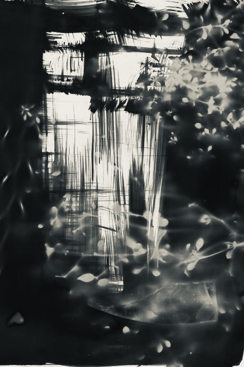 6712874 Sarah Skinner Is It A Window