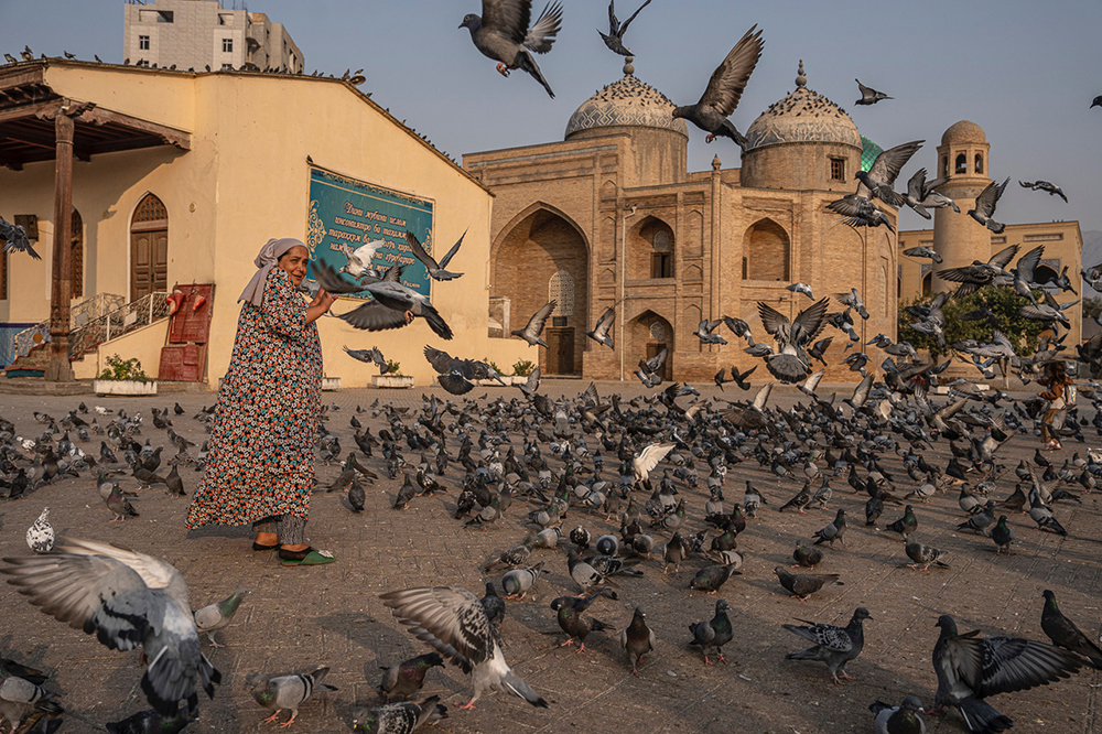 Old Madrasahs And Mosque, Kujand, Tajikistan by Jo Kearney