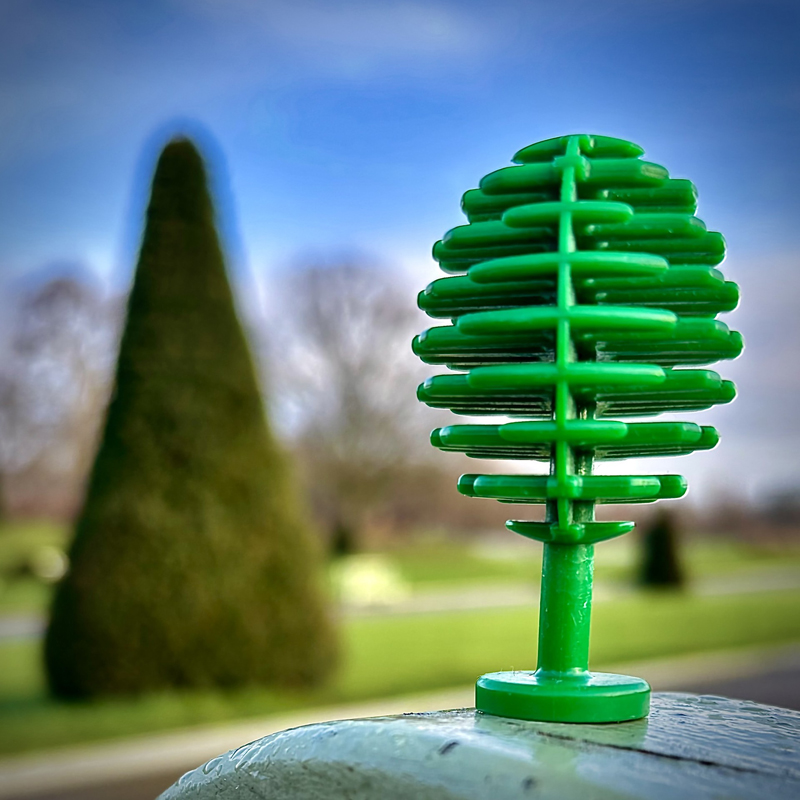 Wolfe, St Marks School