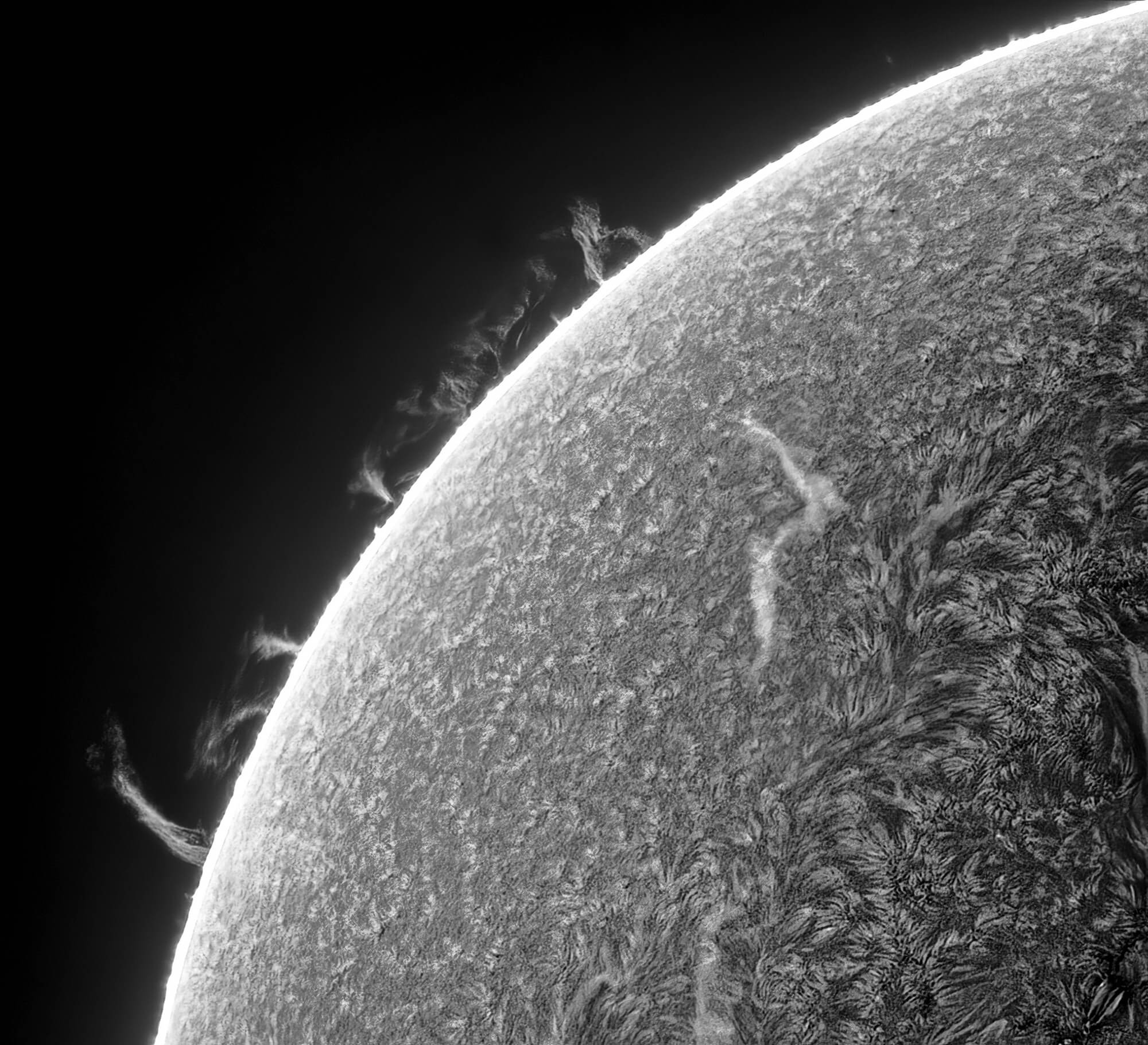 2. PS Astronomy Winner 438