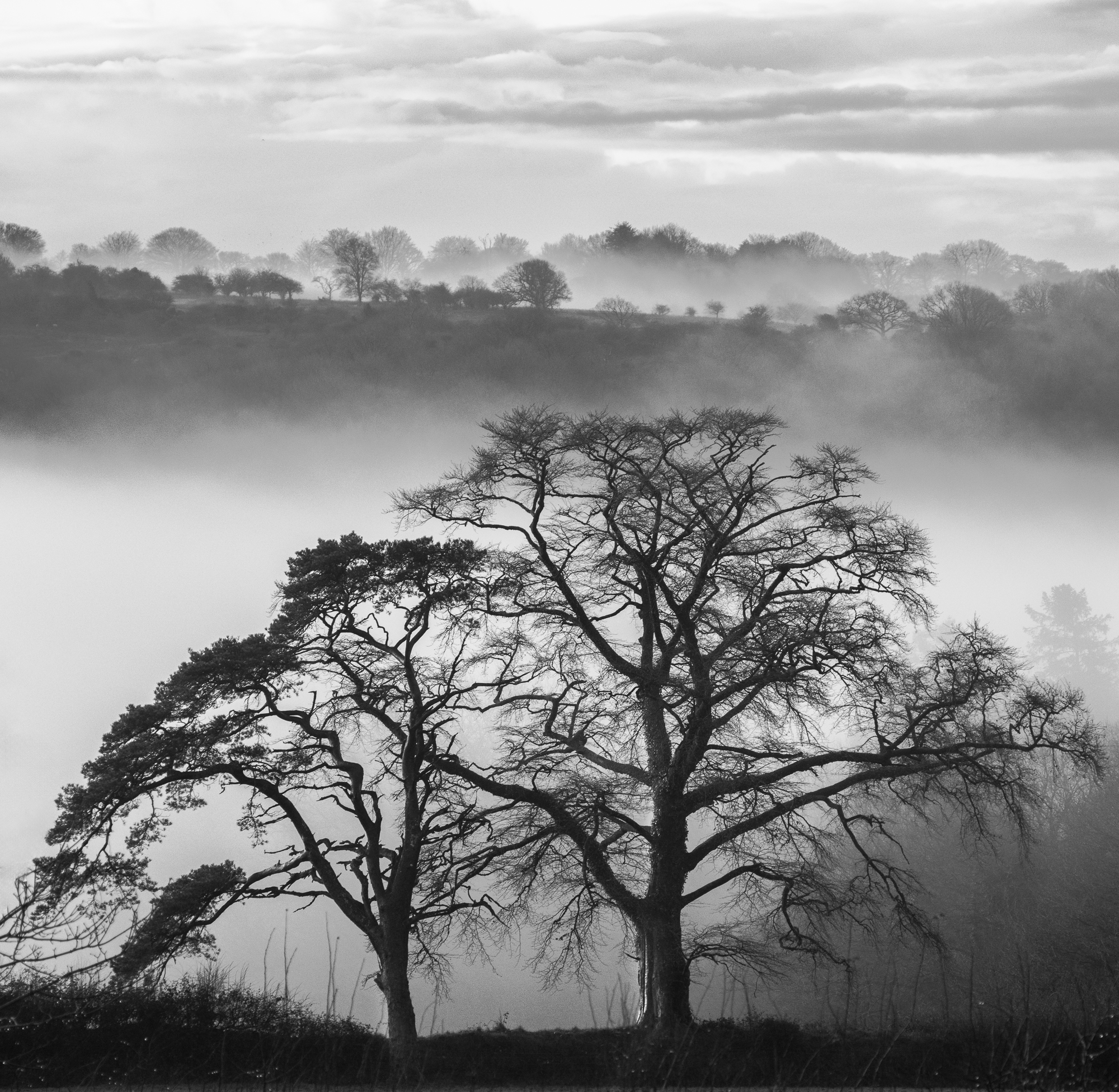 2nd Place Mist In The Valley by Elizabeth Webb