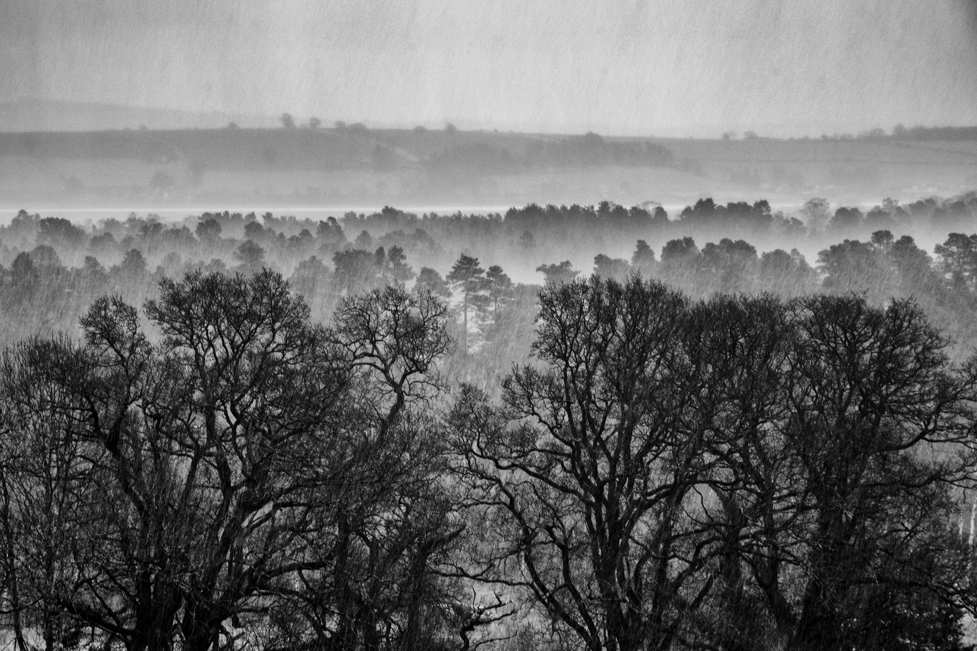 A Rainy Day In Dumfries & Galloway, By Lesly Peatfield 