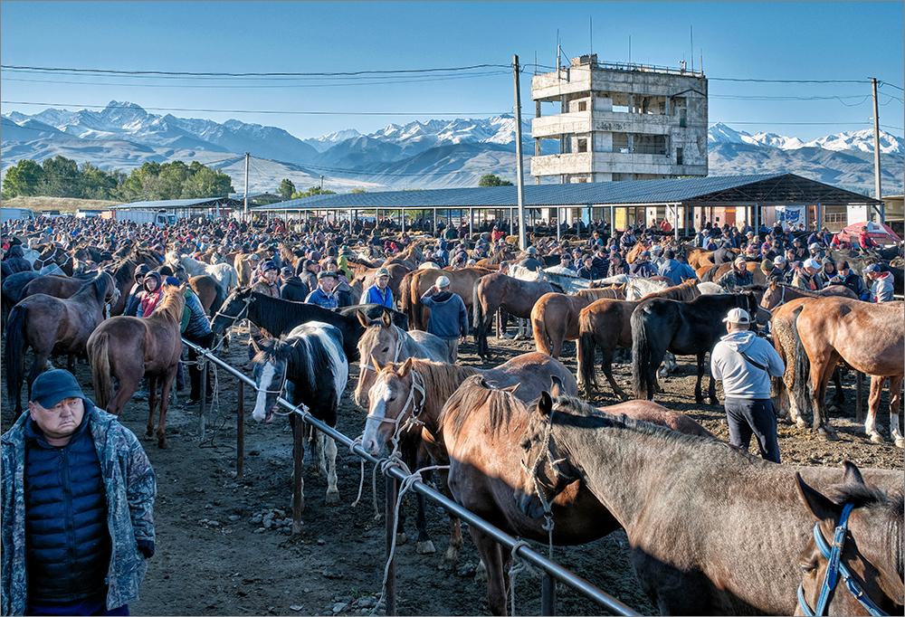 Sunday Animal Market, Karakol, Kyrgyzstan by Richard Burn