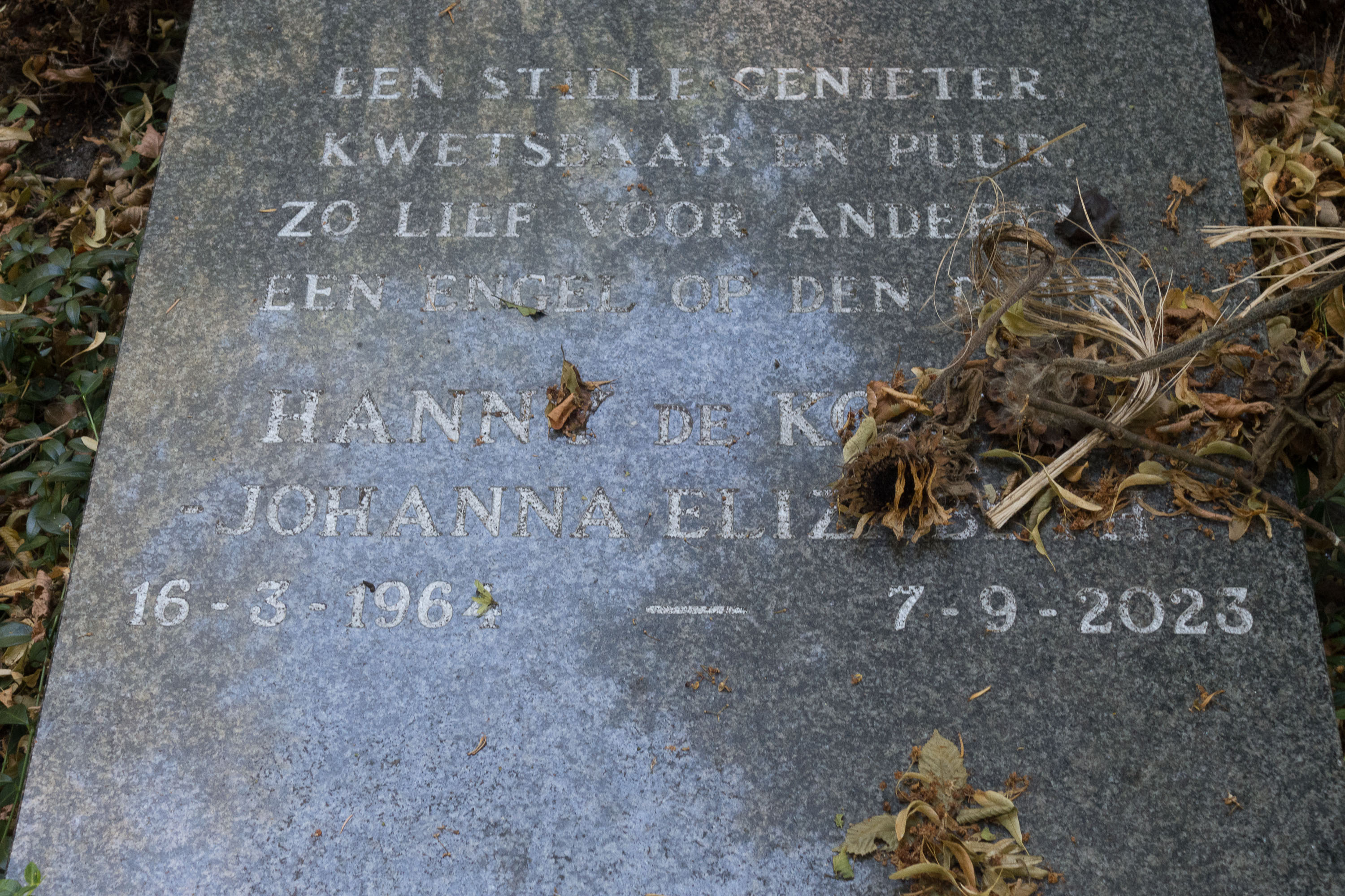 Ton Van Der Laan TWT For Ezine 2
