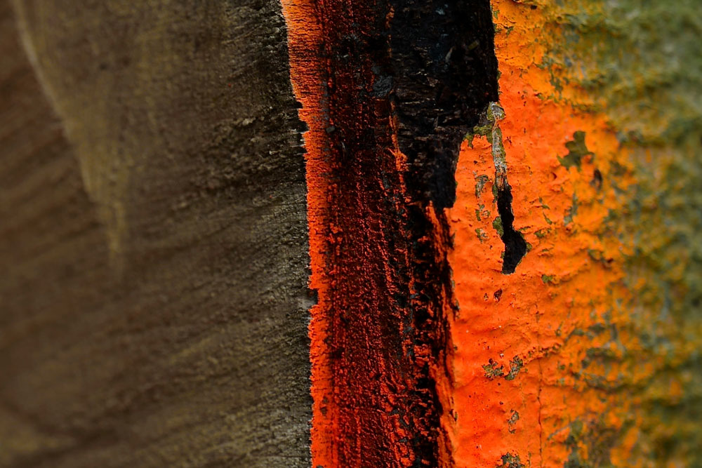 Emagazinejune2020 Cover