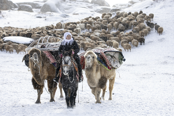 600X7202 Winter Moving, Xinjiang Weng Sang Wong ARPS