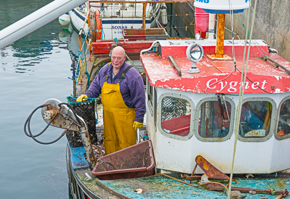 Lobster Fisherman