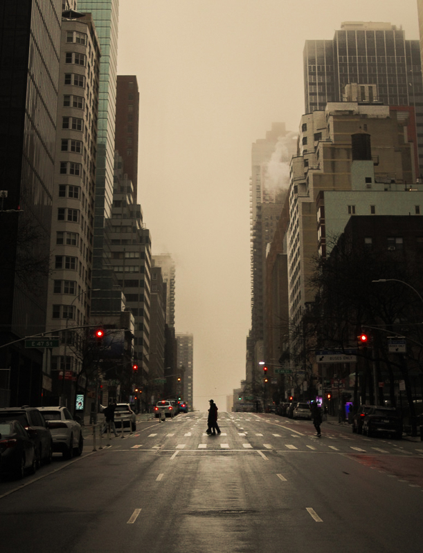 Harrison, Broome School,RPS DIG Certificate